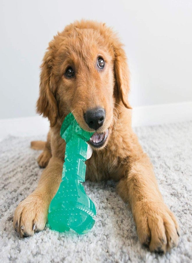 KONG Squeezz Dental Ball - Dog Toy for Cleaning Teeth - Flexible Chew Toy for Gentle & Mild Chewers - for Medium/Large Dogs - Image 2